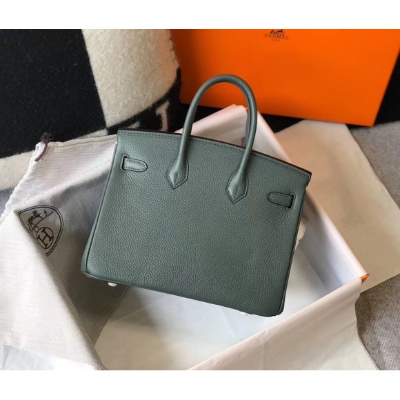 H**mes birkin 25 bag in vert amande clemence leather with ghw