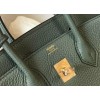 Hermes Birkin 25 Bag In Vert Amande Clemence Leather with GHW