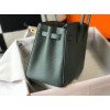 Hermes Birkin 25 Bag In Vert Amande Clemence Leather with GHW