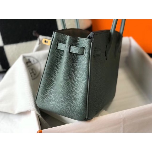 H**mes birkin 25 bag in vert amande clemence leather with ghw