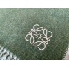 Loewe Window Scarf in Green/Beige Wool and Cashmere