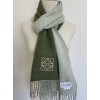 Loewe Window Scarf in Green/Beige Wool and Cashmere