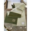 Loewe Window Scarf in Green/Beige Wool and Cashmere